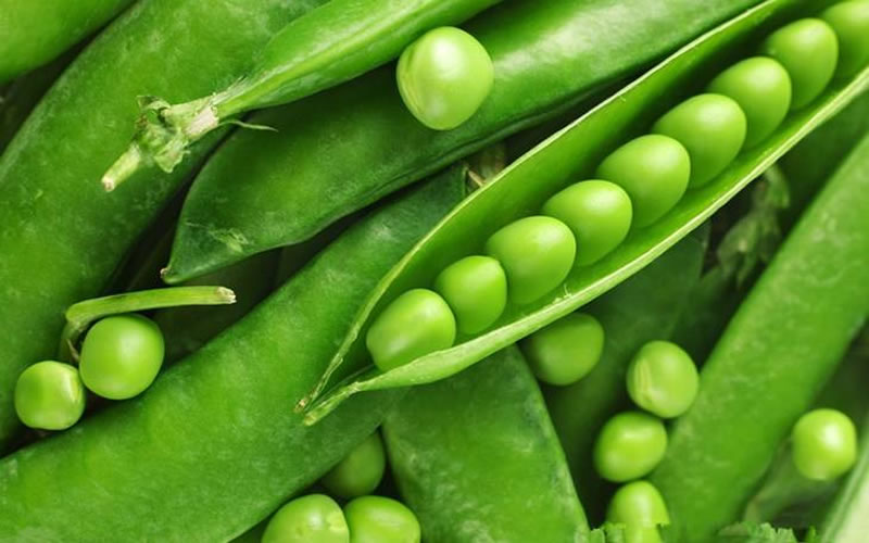 豌豆酶解生产植物蛋白饮料的方法有哪些？