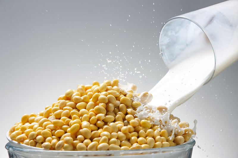 如何利用大豆酶解技术生产低脂、低卡、低糖网红饮品？