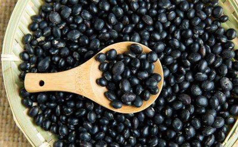 酶法黑豆生产植物蛋白低卡饮品用哪些酶制剂？