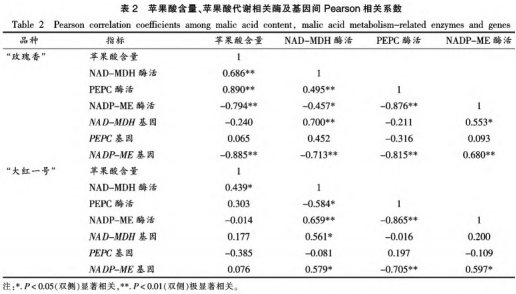 红肉火龙果采后品质劣变及苹果酸代谢研究（三）