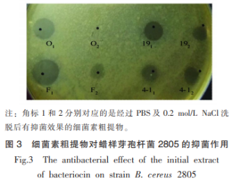 牡蛎中产广谱细菌素芽孢杆菌的筛选及鉴定（三）