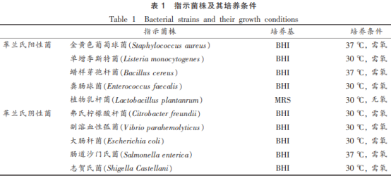 牡蛎中产广谱细菌素芽孢杆菌的筛选及鉴定（一）