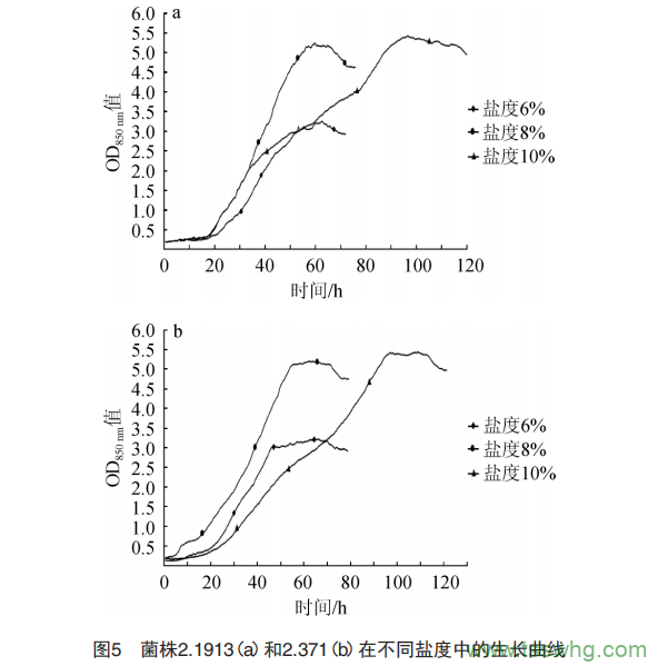 以腌渍辣椒水作为发酵剂发酵干辣椒的微生物筛选（三）