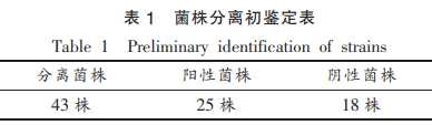 产共轭亚油酸菌株的筛选及其发酵性质研究（一）