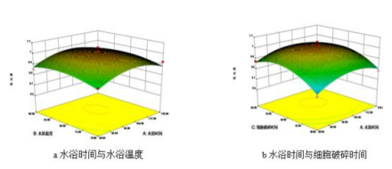 黑变红枣枣皮类黑精的提取与稳定性研究（七）