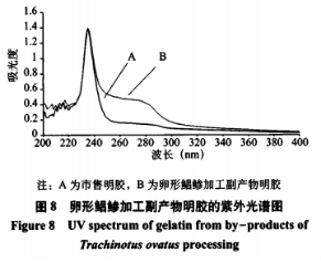 卵形鲳鯵加工副产物中明胶的提取工艺及性质研究(四）