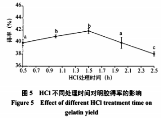 卵形鲳鯵加工副产物中明胶的提取工艺及性质研究(三）