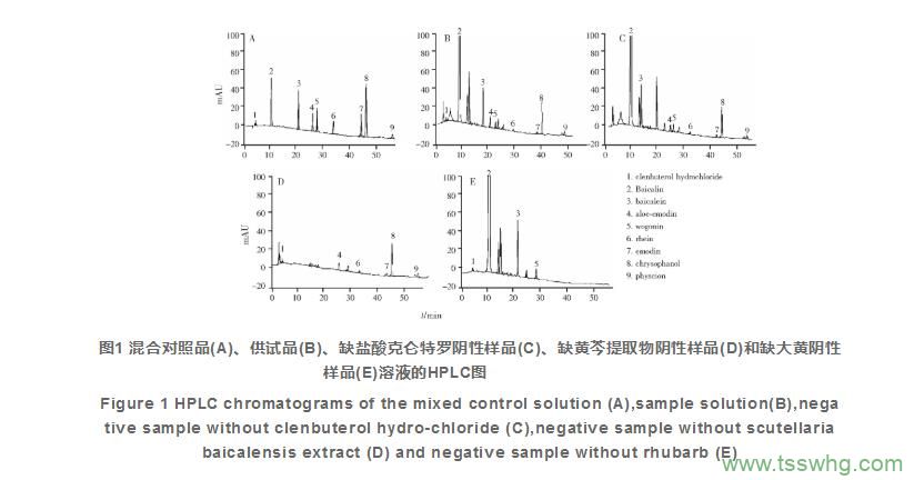 HPLC同时测定喘舒片中的9种成分