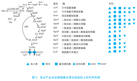 赖氨酸工业发展的机遇与挑战（二）