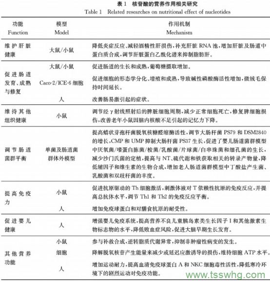 核酸代谢与营养研究及发展趋势（三）