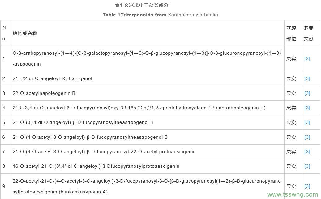 文冠果研究开发进展（一）
